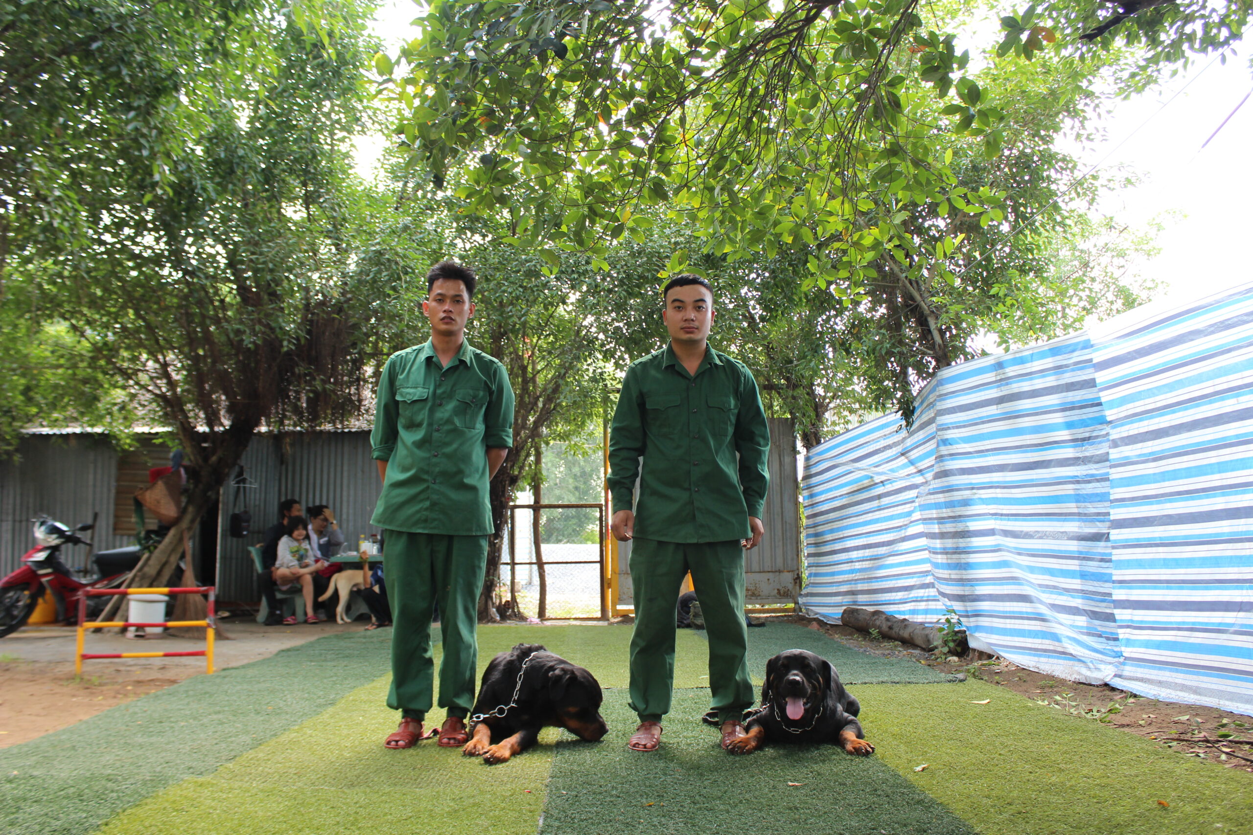 Làm thế nào để chọn được trường huấn luyện chó tại Sài Gòn uy tín và chất lượng
