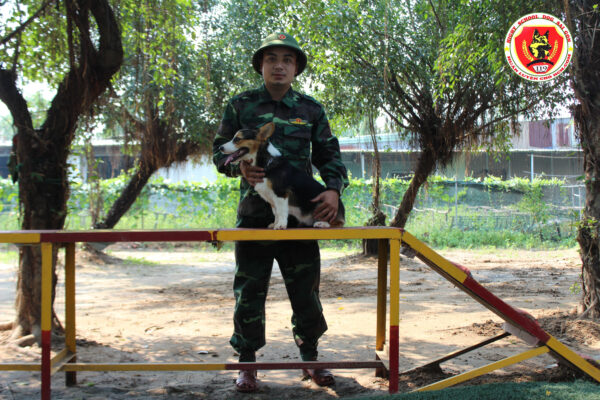 Bí quyết để chọn được trường huấn luyện chó Tiền Giang ưng ý