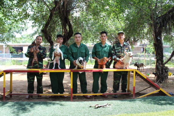 Cách để chọn được trường huấn luyện chó quận Bình Thạnh đảm bảo