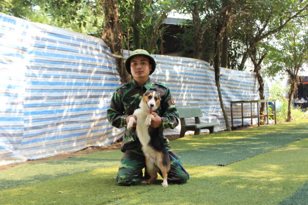 Cách để chọn trường huấn luyện chó quận Bình Tân ưng ý