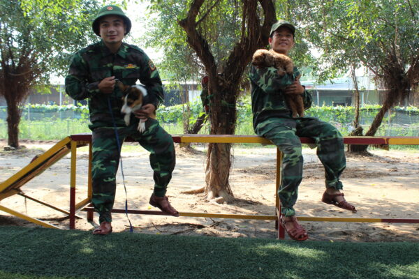 Kinh nghiệm chọn trường huấn luyện chó huyện Bình Chánh đảm bảo