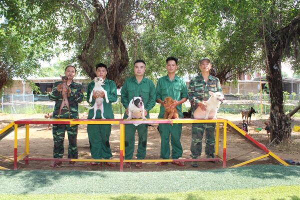 Kinh nghiệm chọn trường huấn luyện chó Long An đảm bảo