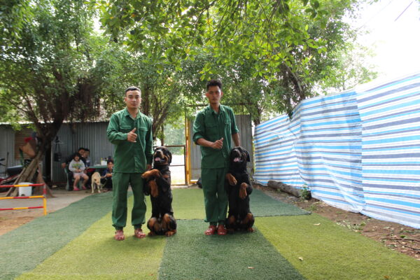 Kinh nghiệm chọn trường huấn luyện chó quận Thủ Đức ưng ý
