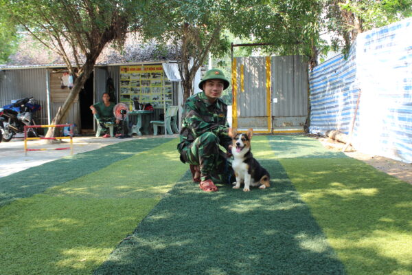 Làm thế nào để chọn được trường huấn luyện chó quận Tân Phú uy tín và chất lượng