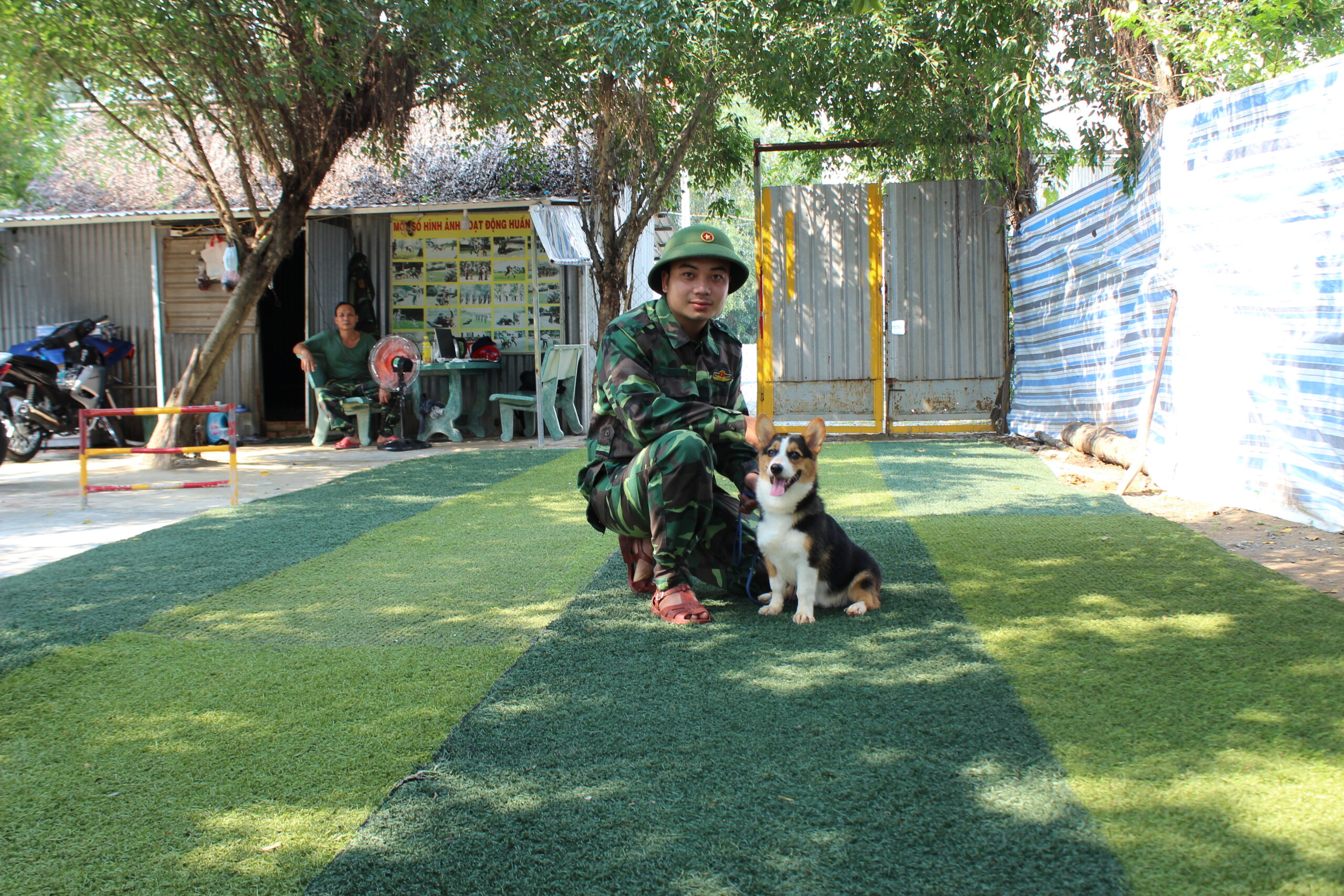 Làm thế nào để chọn được trường huấn luyện chó quân Tân Phú uy tín và chất lượng