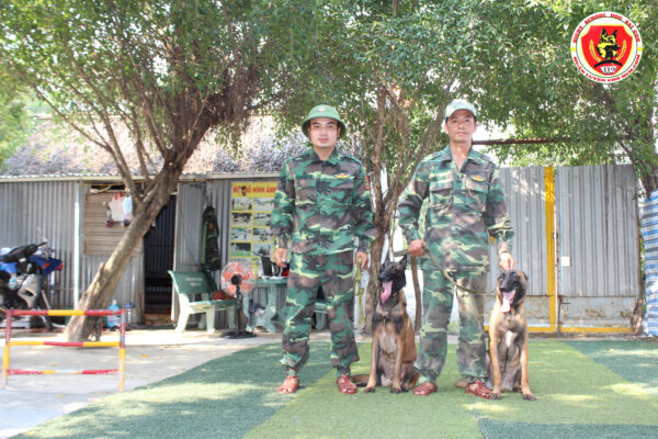 Lưu ý khi chọn trường huấn luyện chó Vĩnh Long để gửi chó theo học