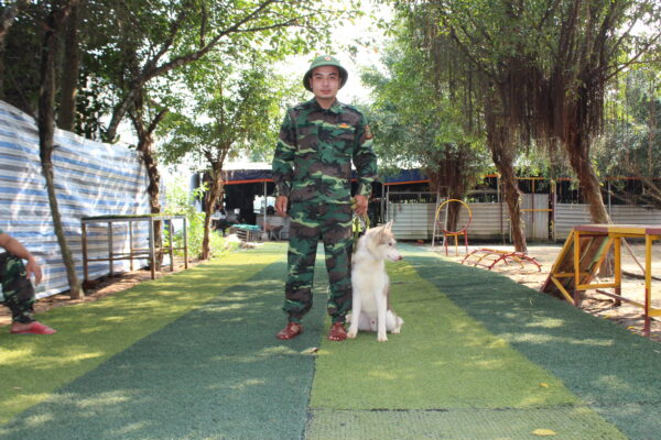 Mách bạn cách để chọn trường huấn luyện chó quận Tân Bình đạt yêu cầu