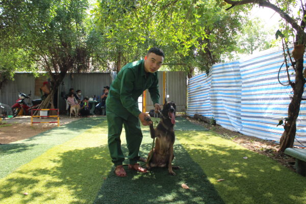 Mẹo chọn trường huấn luyện chó quận Phú Nhuận uy tín và chất lượng