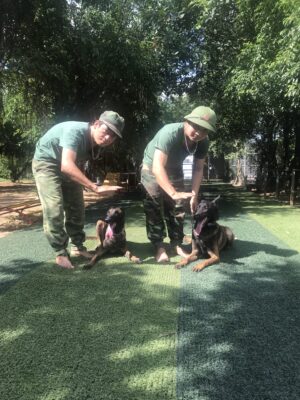 Mẹo để chọn được trường huấn luyện chó Ninh Thuận đảm bảo