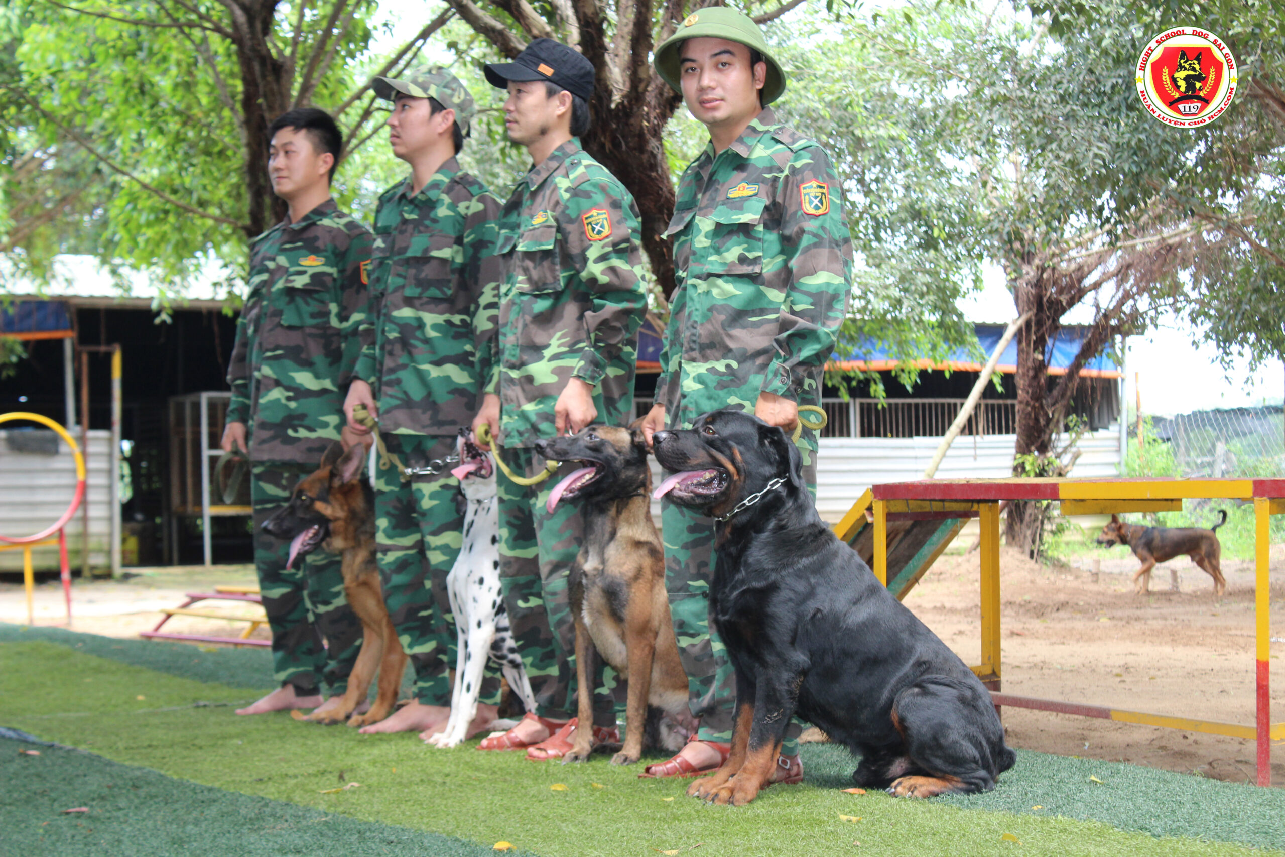 Phương pháp huấn luyện chó hiện đại tại trung tâm 