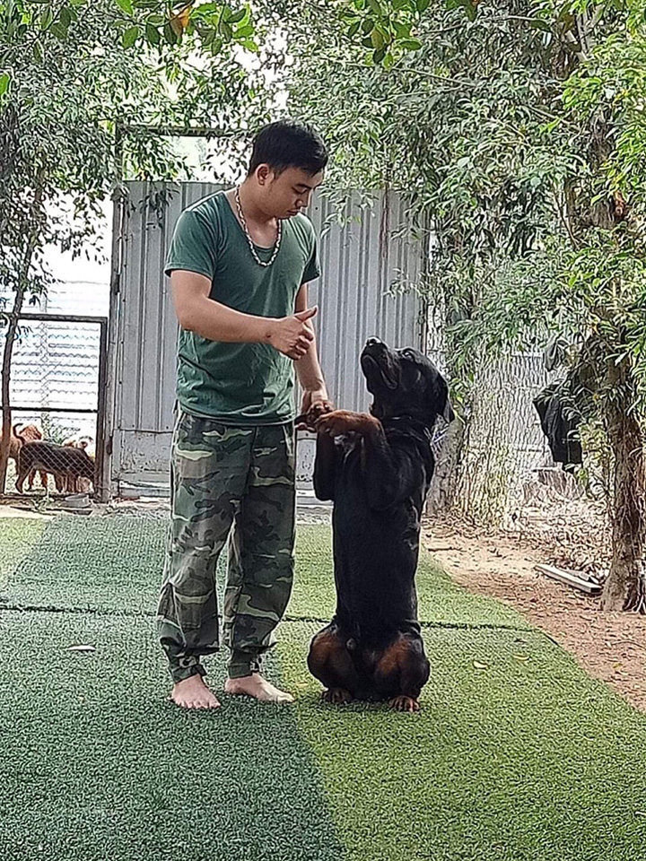 phương pháp huấn luyện chó